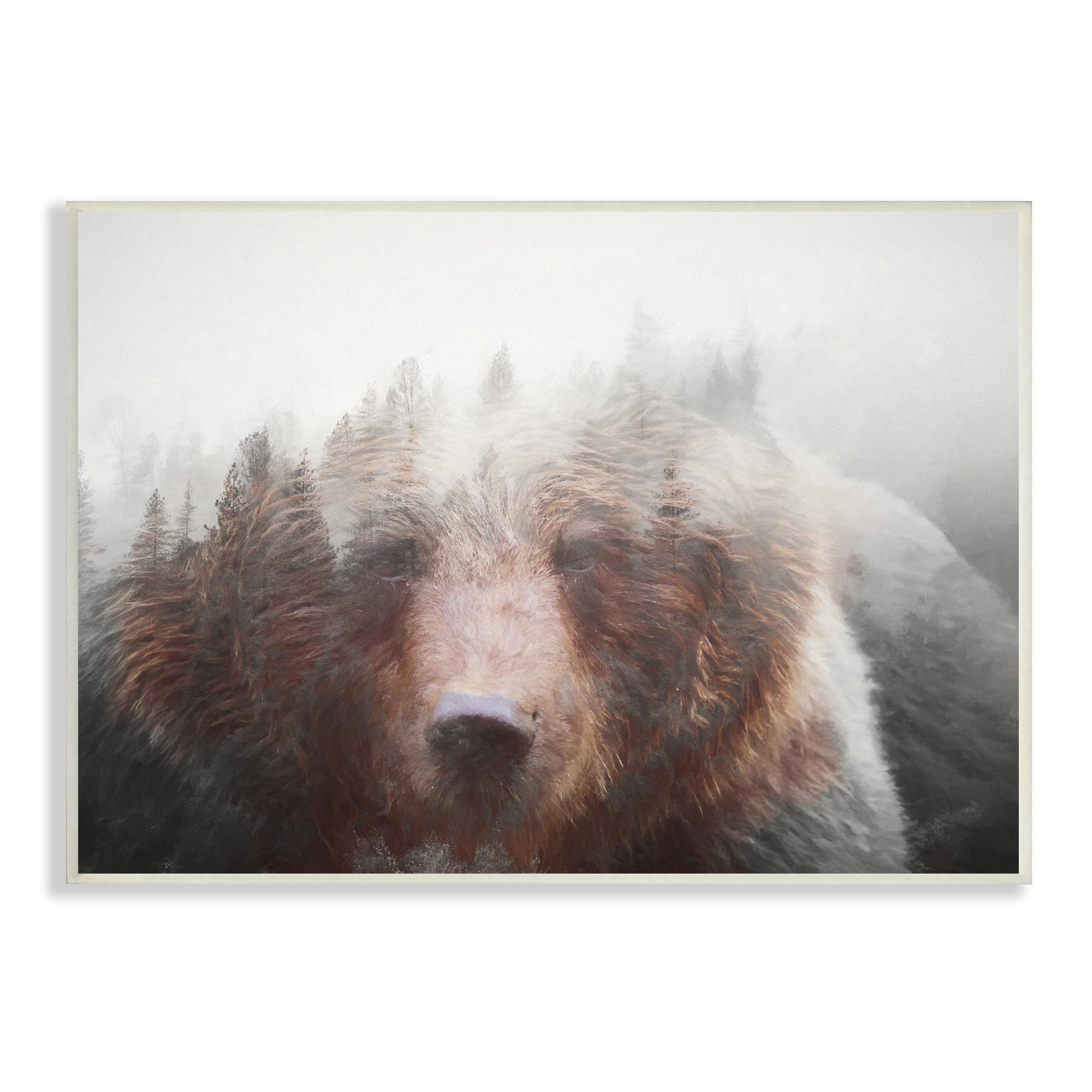 Stupell Industries Abstract Wildlife Brown Bear Foggy Weather Forest, 19 x 13, Design by Daniel Sproul