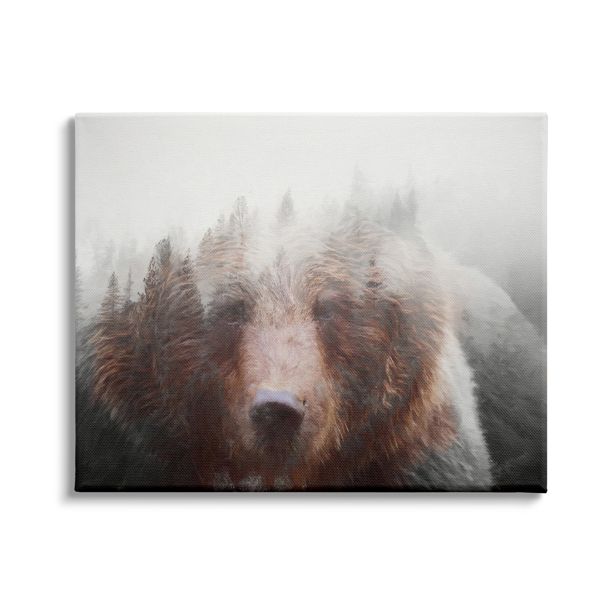 Stupell Industries Abstract Wildlife Brown Bear Foggy Weather Forest, 48 x 36, Design by Daniel Sproul