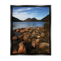 Stupell Industries Acadia Pond Photography Nature Photography Black Floater Framed Art Print Wall Art, 17 x 21