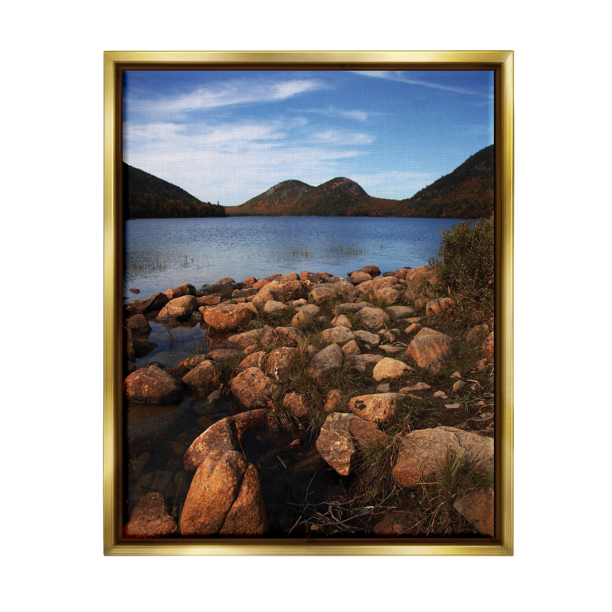 Stupell Industries Acadia Pond Photography Nature Photography Gold Floater Framed Art Print Wall Art, 25 x 31