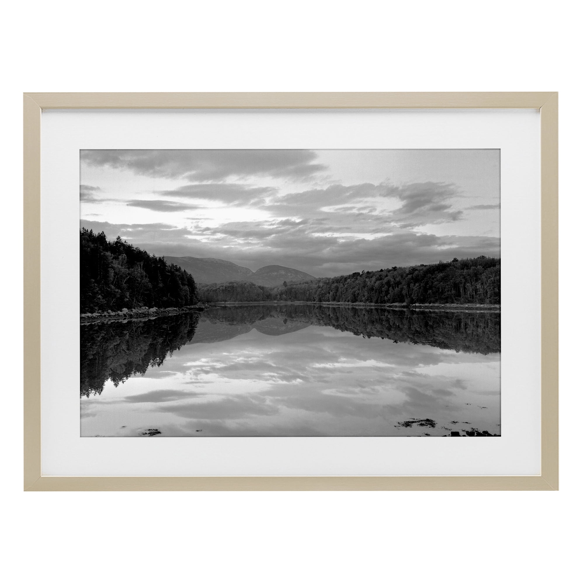Stupell Industries Acadia Reflection in Monochrome Birch Framed Print Under Glass, design by MJ Photography