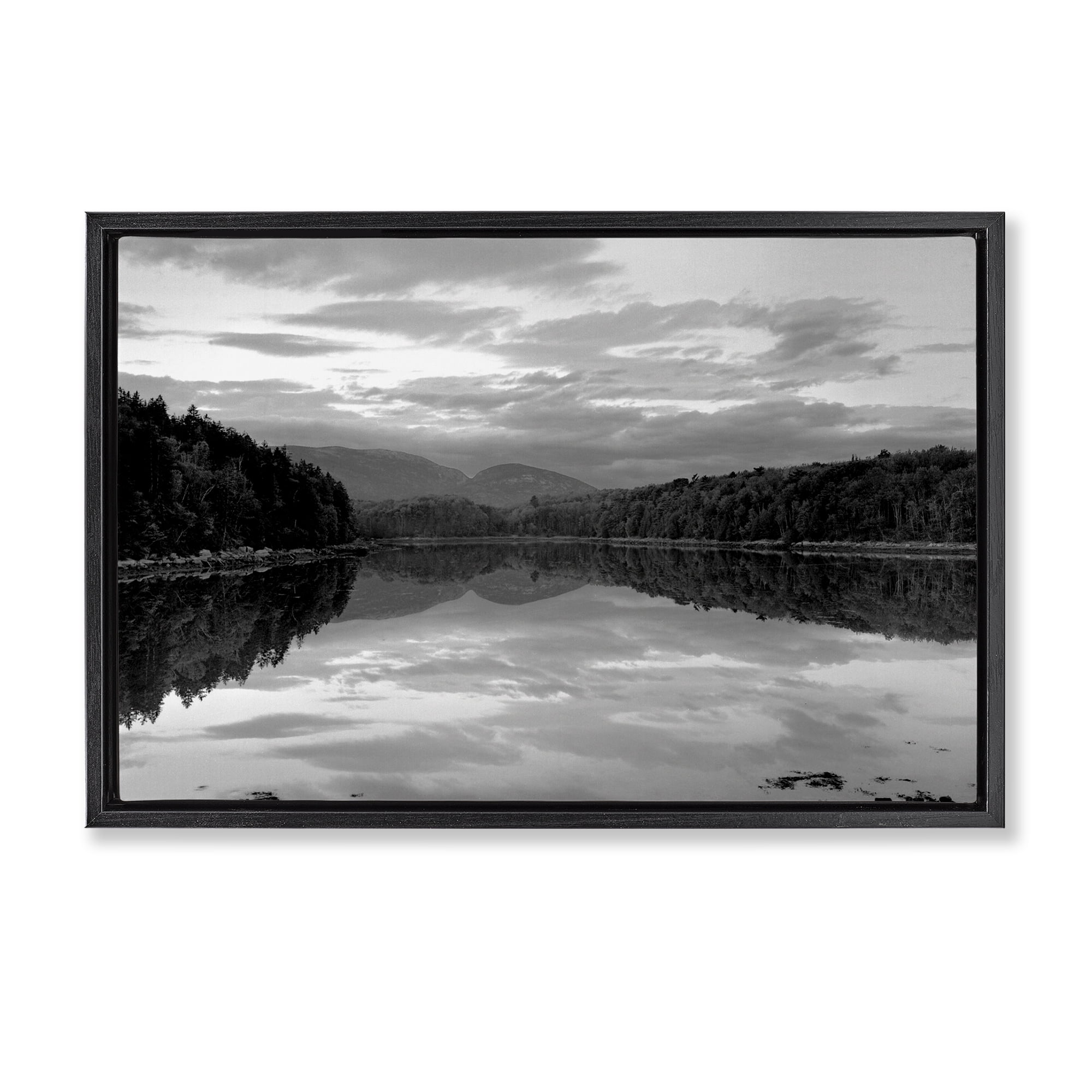 Stupell Industries Acadia Reflection in Monochrome Black Framed Floater Canvas Wall Art, design by MJ Photography
