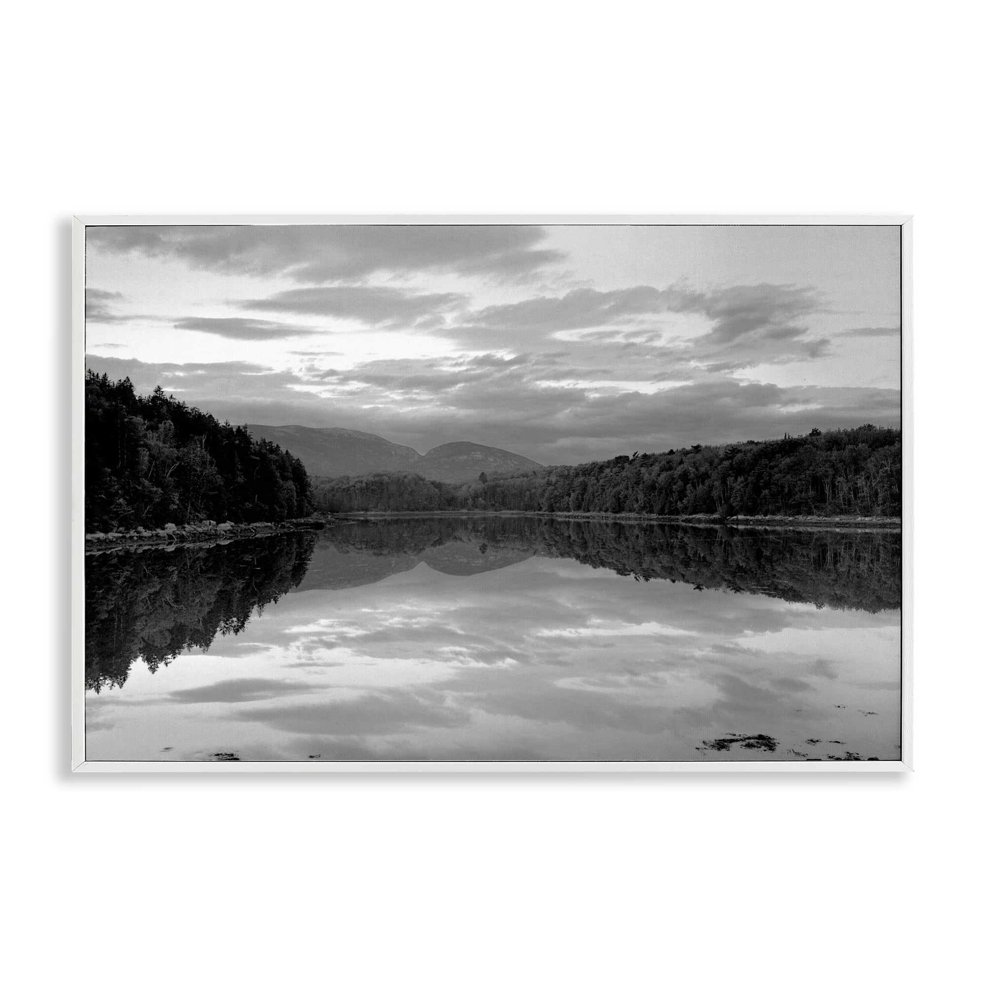 Stupell Industries Acadia Reflection in Monochrome White Framed Giclee Art, design by MJ Photography