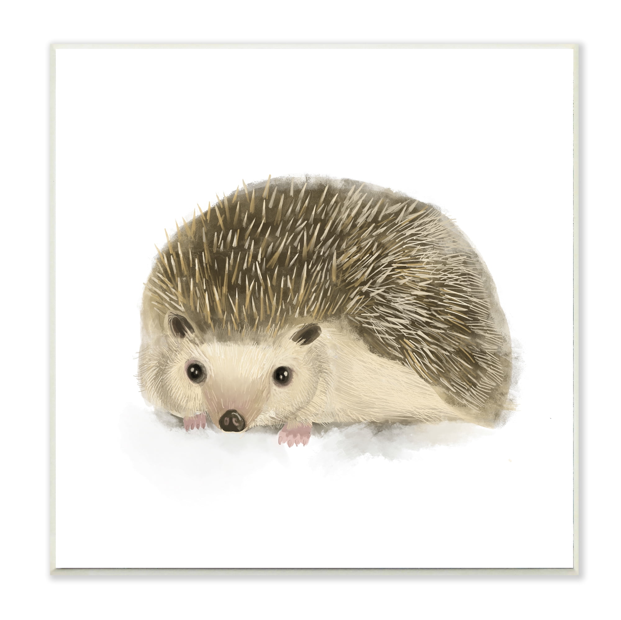 Stupell Industries Adorable Hedgehog Illustration Nursery Woodland Animal Wall Plaque, 12 x 12, Design by Daphne Polselli