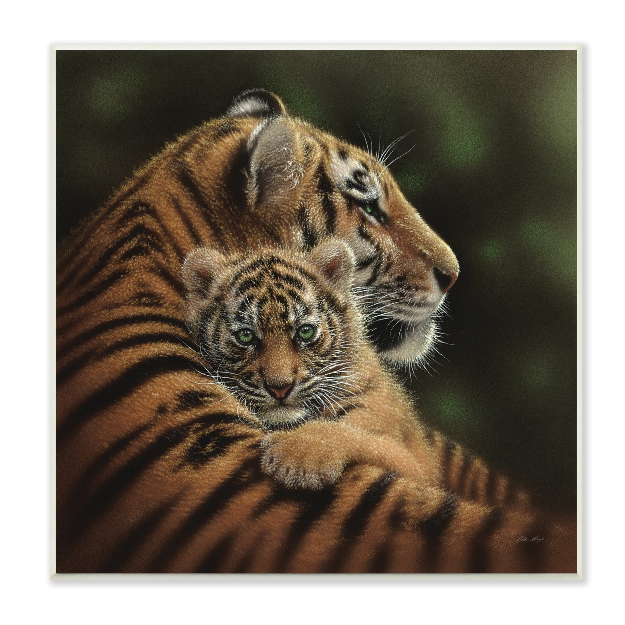 Stupell Industries Adorable Sweet Mom Tiger Holding Baby Cub Detailed Portrait , 12 x 12, Design by Collin Bogle