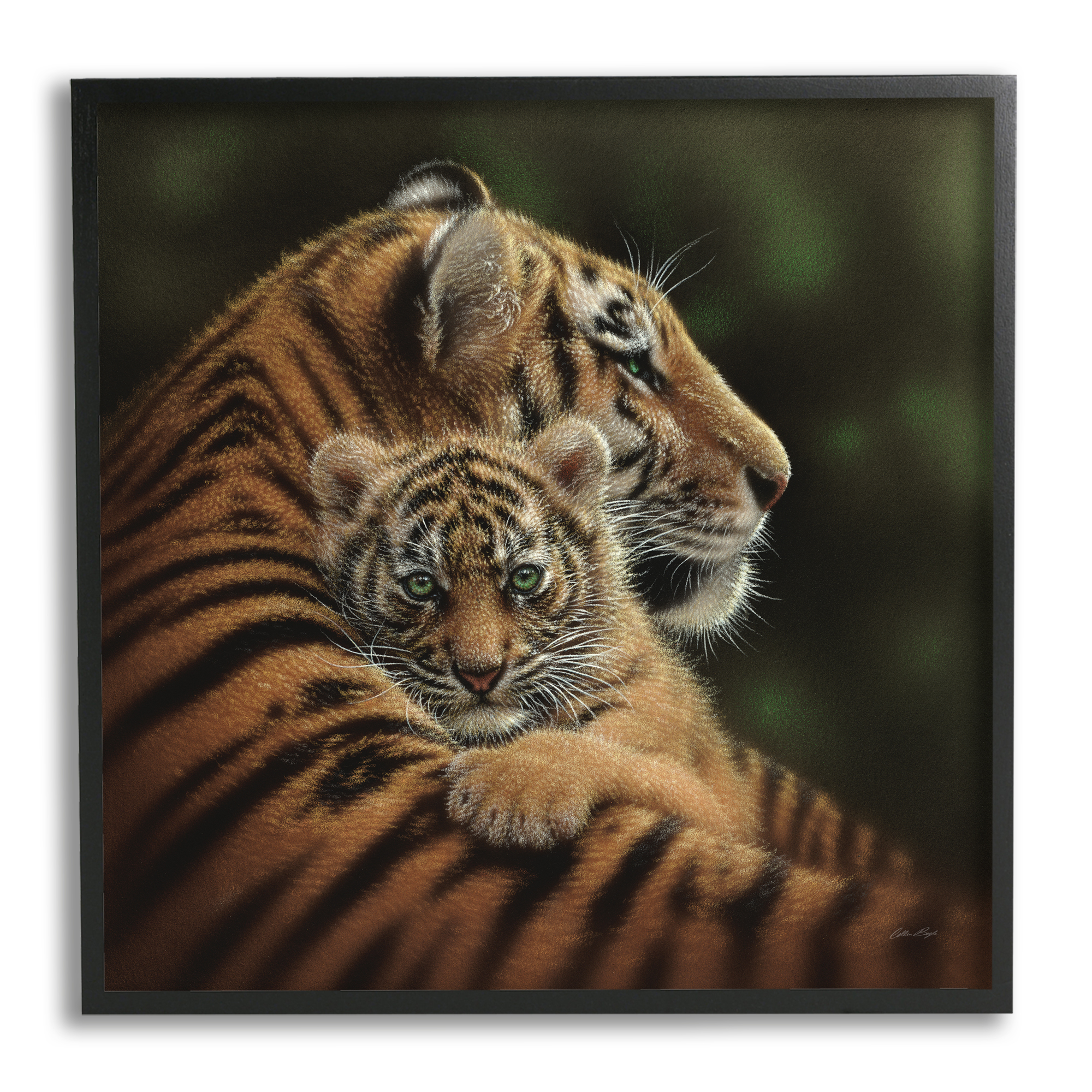 Stupell Industries Adorable Sweet Mom Tiger Holding Baby Cub Detailed Portrait , 24 x 24, Design by Collin Bogle