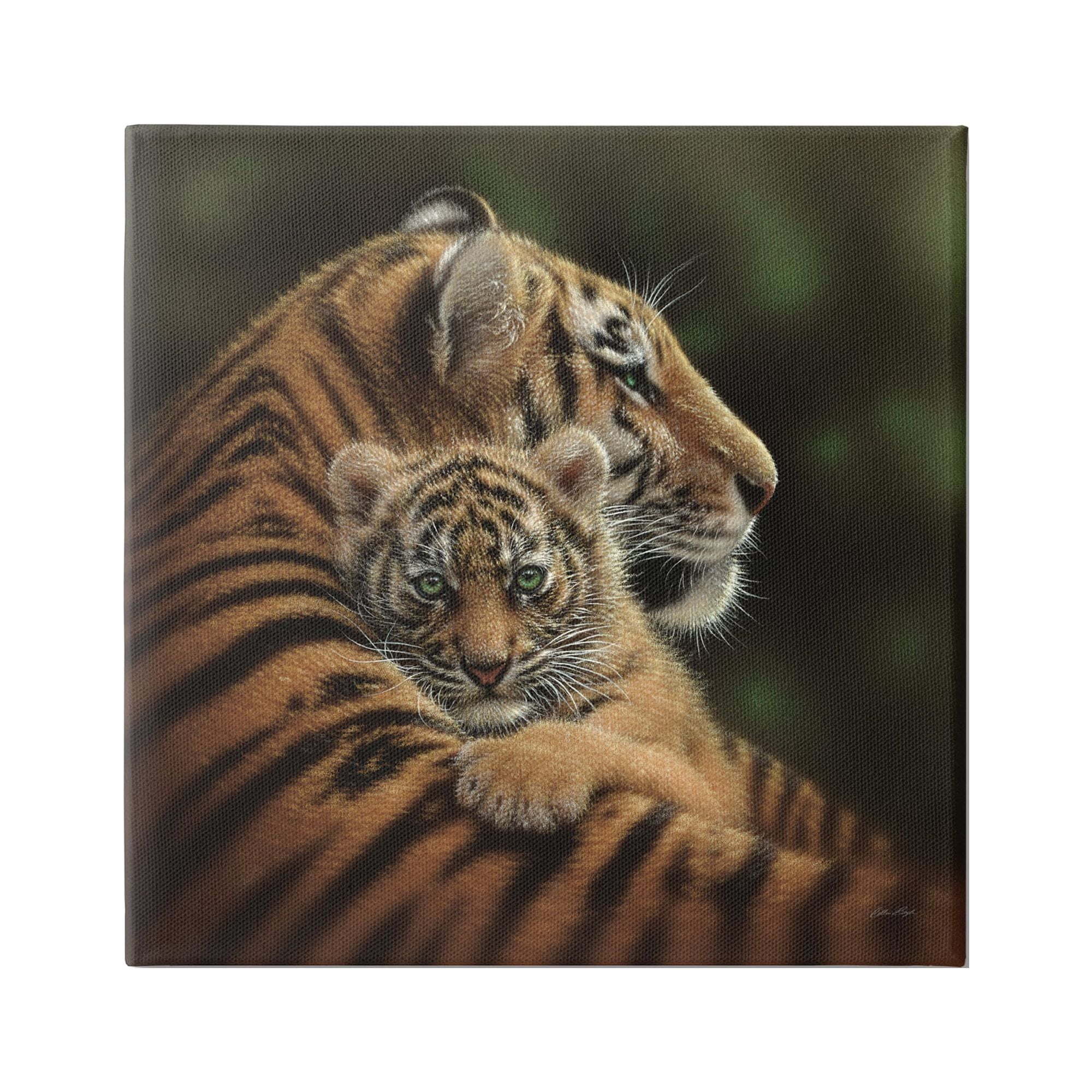 Stupell Industries Adorable Sweet Mom Tiger Holding Baby Cub Detailed Portrait Paintings Gallery-Wrapped Canvas Print Wall Art, 36x36, by Collin Bogle