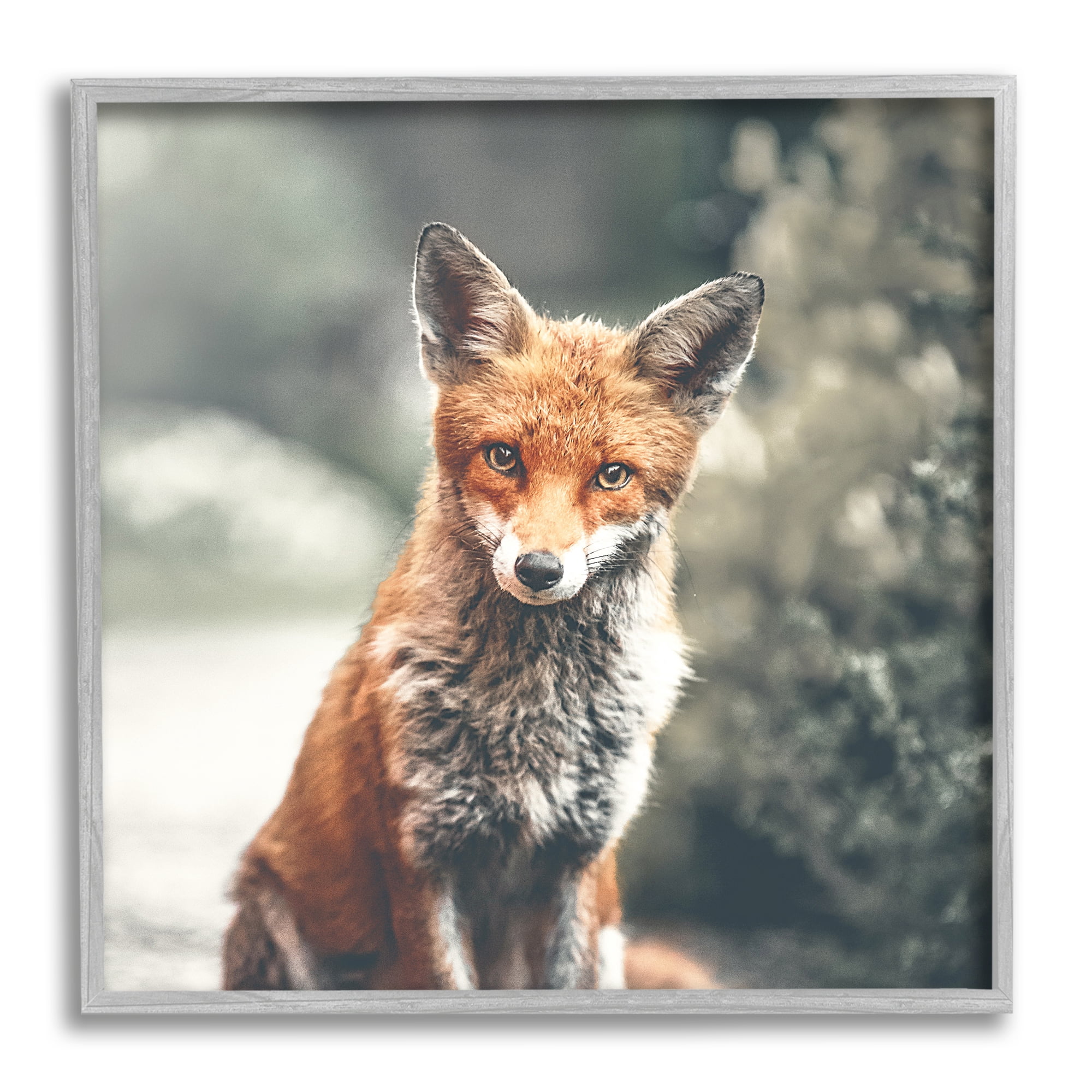 Stupell Industries Adorable Woodland Fox Orange Fur Soft Tone Forest, 12 x 12, Design by Leah Straatsma
