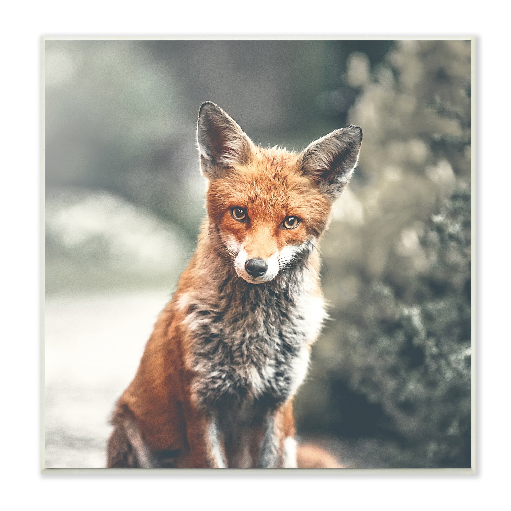 Stupell Industries Adorable Woodland Fox Orange Fur Soft Tone Forest, 12 x 12, Design by Leah Straatsma