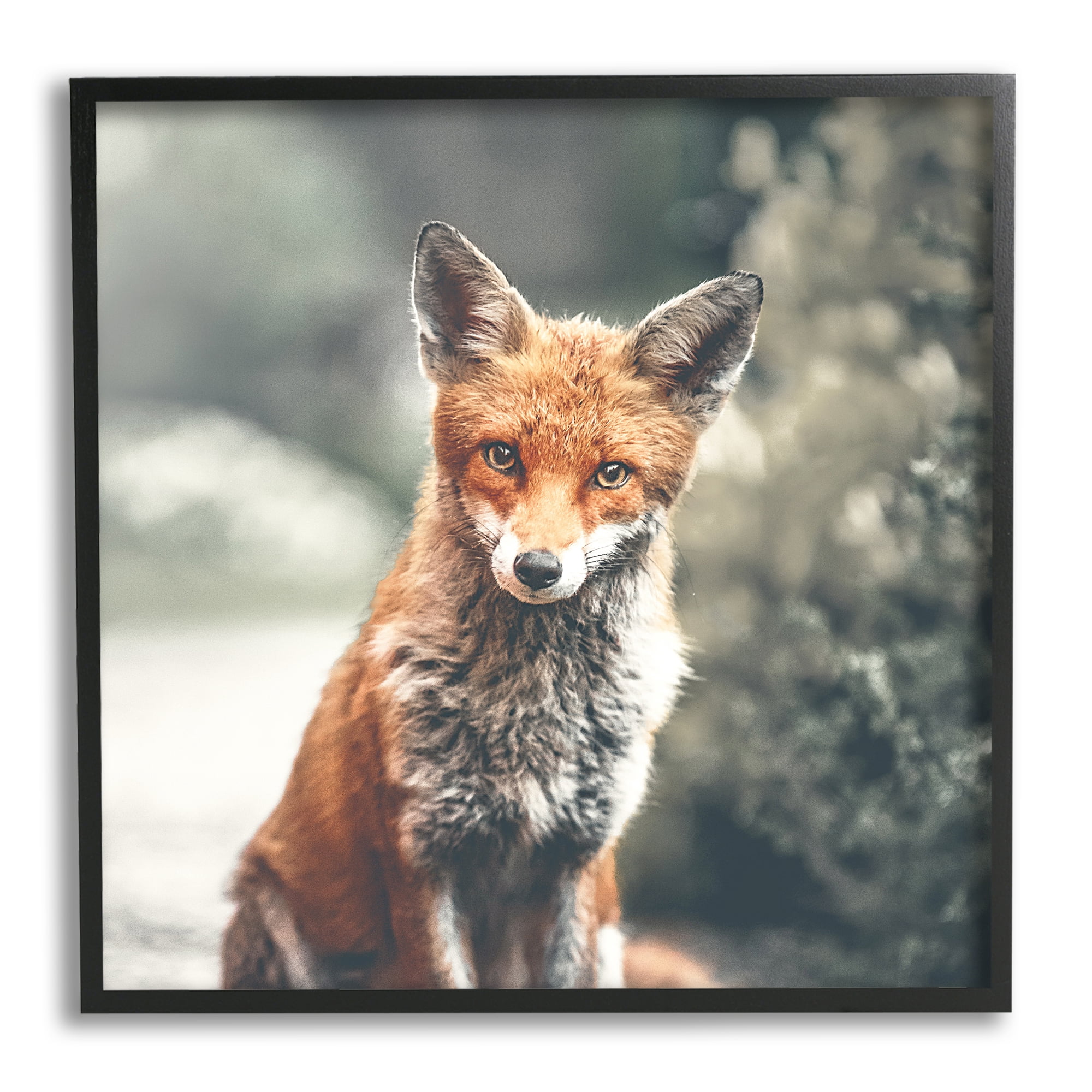 Stupell Industries Adorable Woodland Fox Orange Fur Soft Tone Forest, 12 x 12, Design by Leah Straatsma