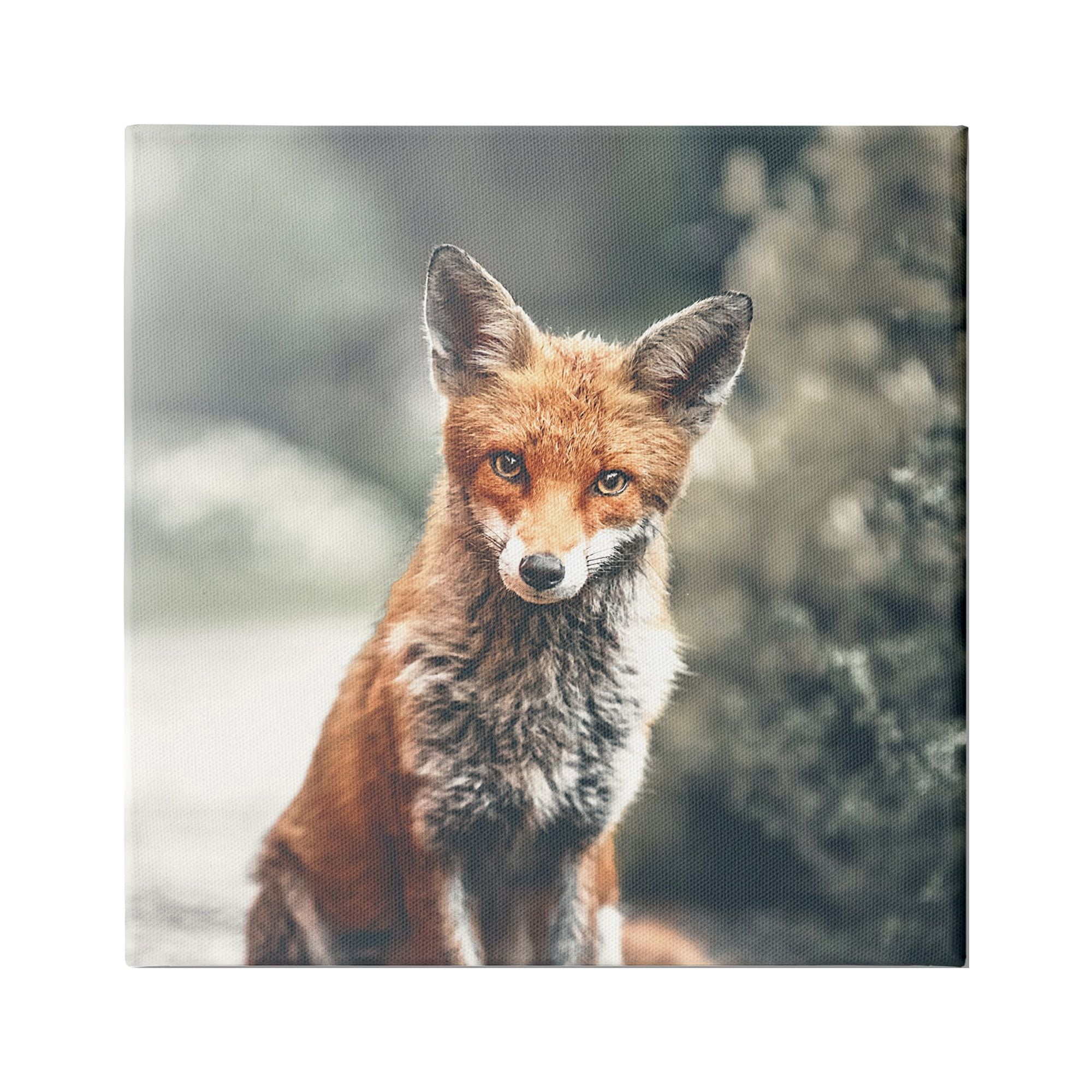 Stupell Industries Adorable Woodland Fox Orange Fur Soft Tone Forest, 30 x 30, Design by Leah Straatsma