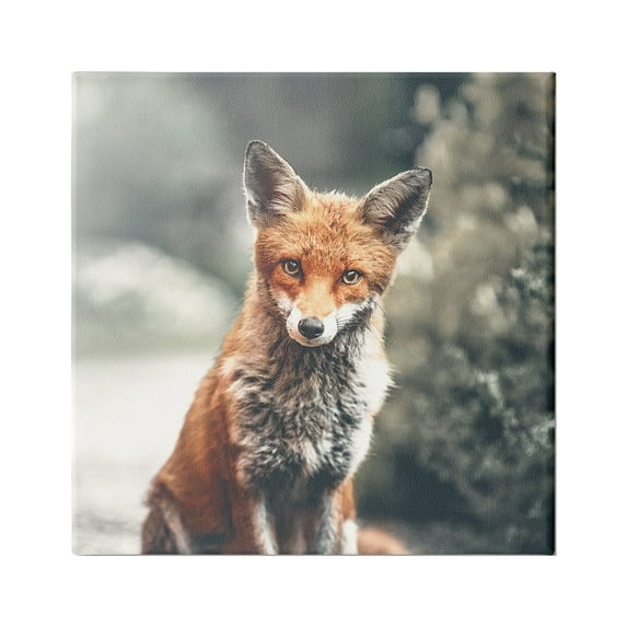 Stupell Industries Adorable Woodland Fox Orange Fur Soft Tone Forest, 30 x 30, Design by Leah Straatsma