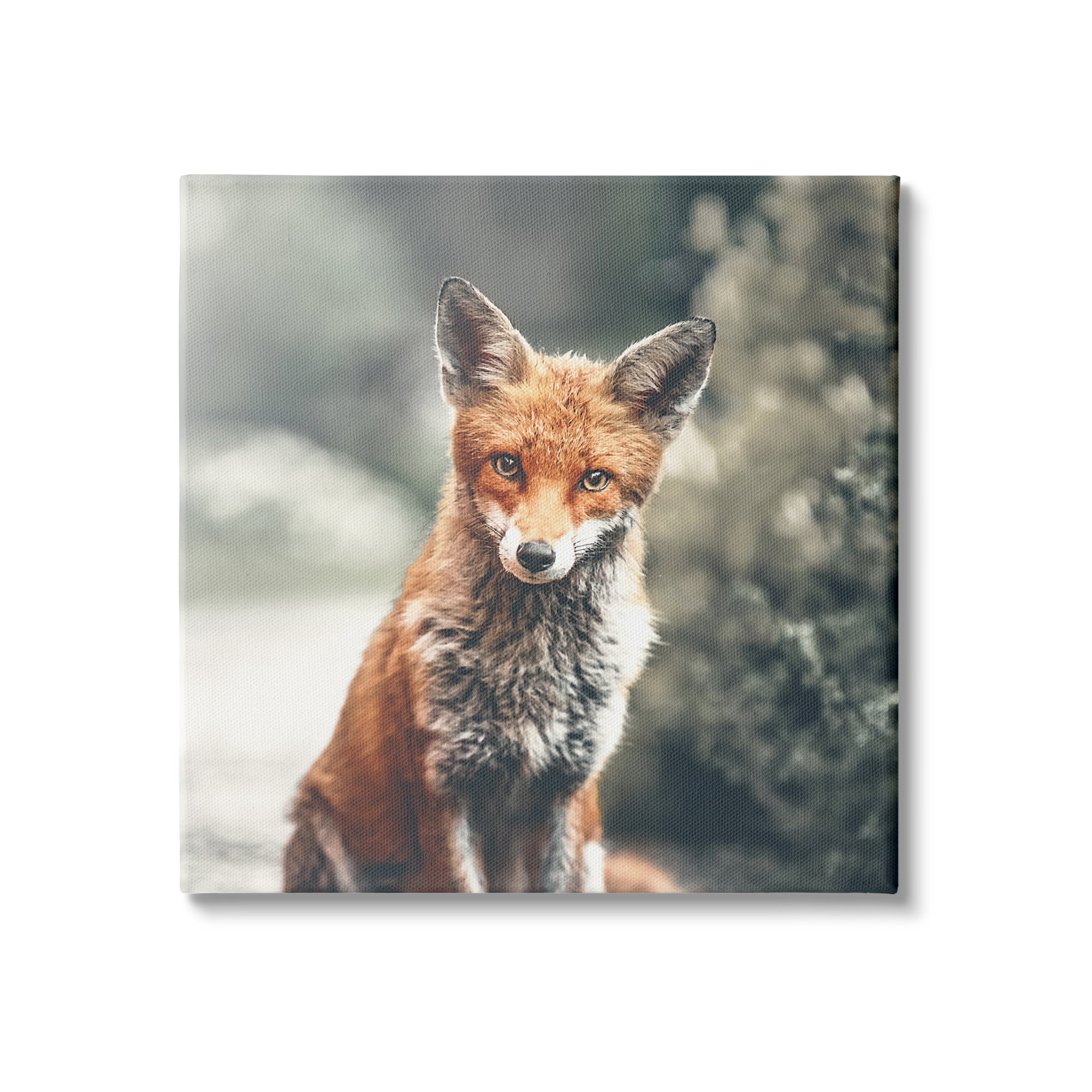 Stupell Industries Adorable Woodland Fox Orange Fur Soft Tone Forest, 36 x 36, Design by Leah Straatsma