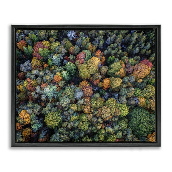 Stupell Industries Aerial View Autumnal Foliage Landscape & Nature Photography Black Floater Framed Canvas Art Print Wall Art, 21 x 17