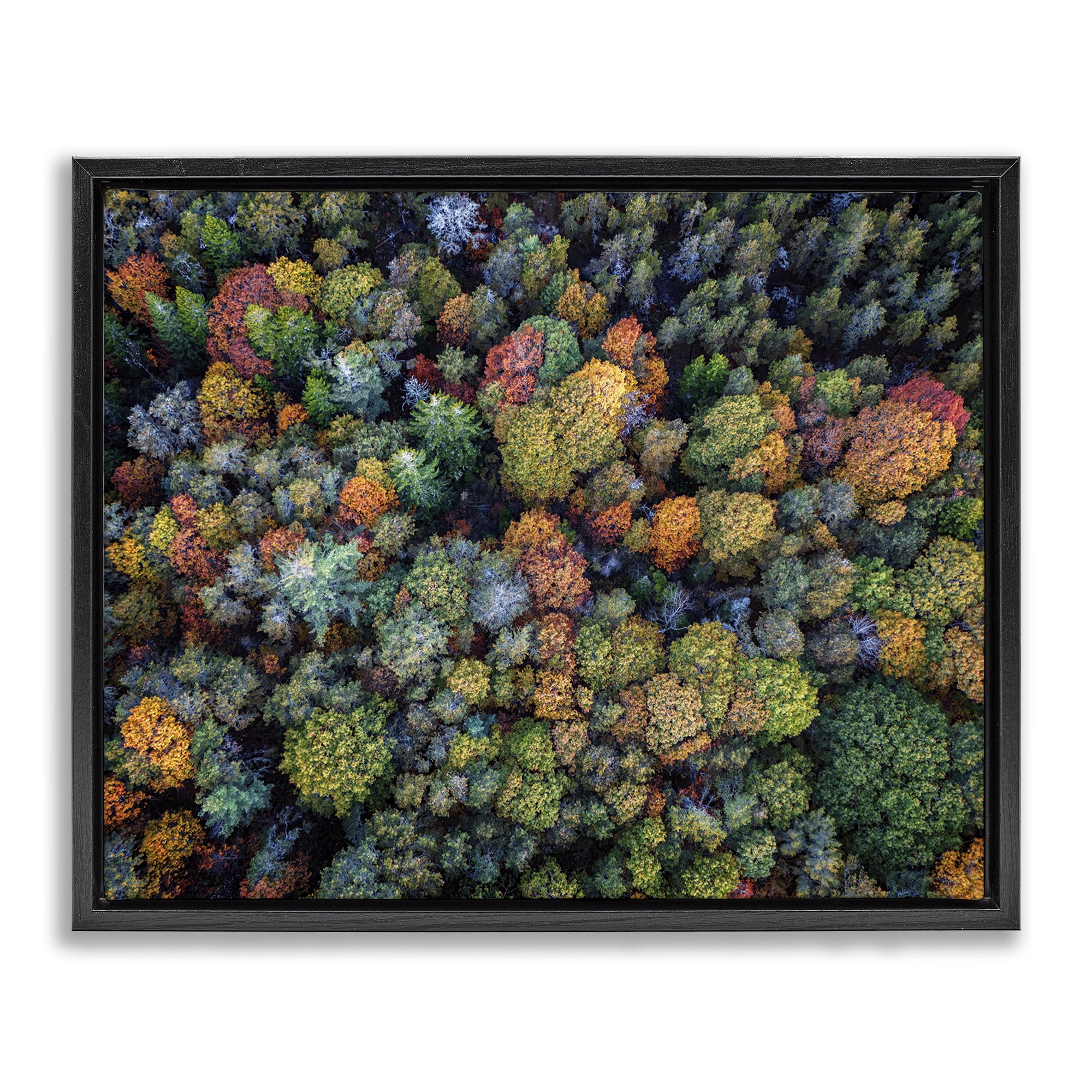 Stupell Industries Aerial View Autumnal Foliage Landscape & Nature Photography Black Floater Framed Canvas Art Print Wall Art, 31 x 25