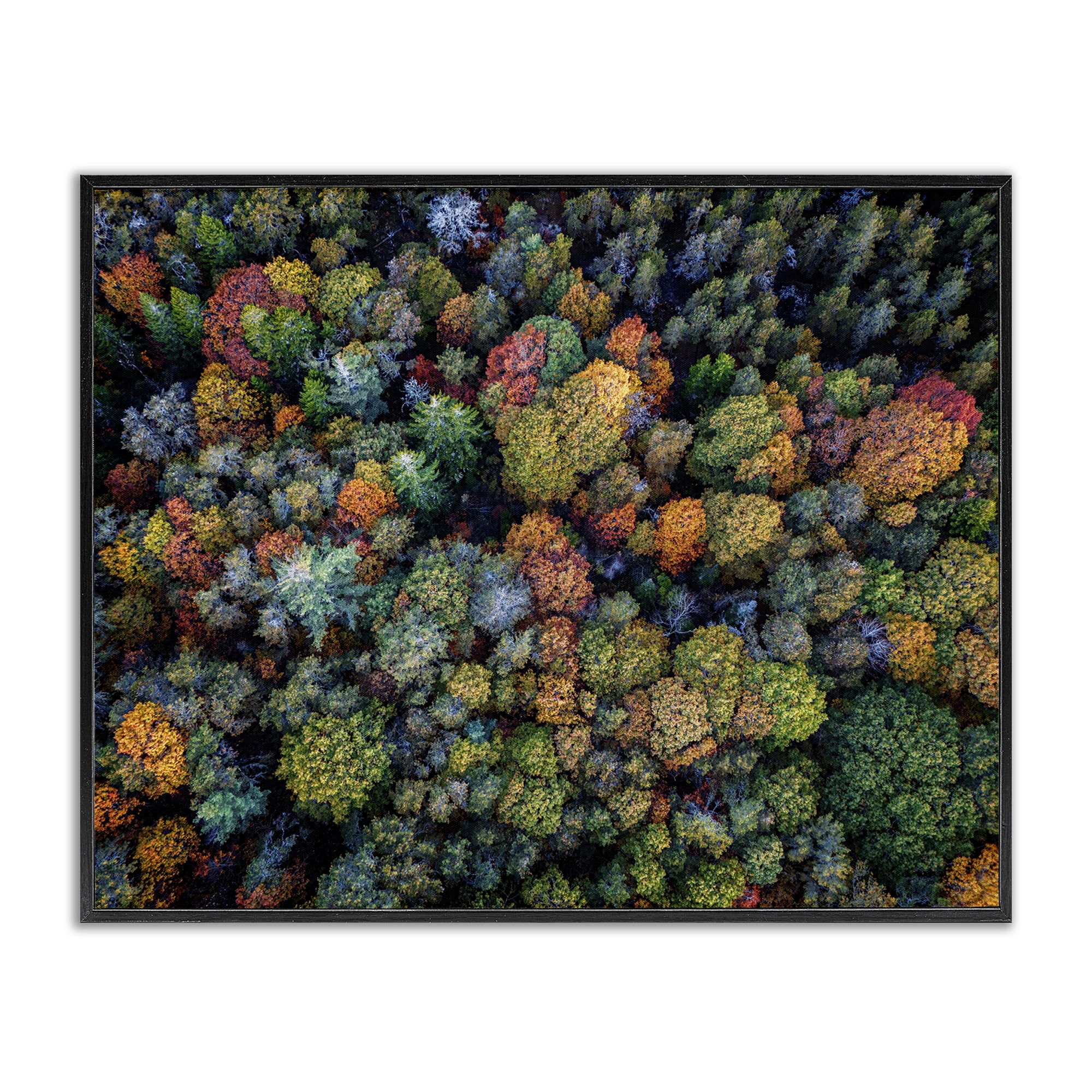 Stupell Industries Aerial View Autumnal Foliage Landscape & Nature Photography Black Framed Art Print Wall Art, 20 x 16