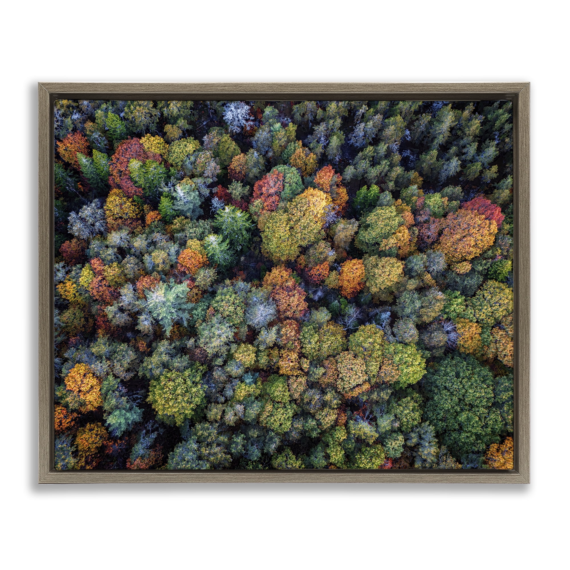 Stupell Industries Aerial View Autumnal Foliage Landscape & Nature Photography Brown Floater Framed Canvas Art Print Wall Art, 21 x 17