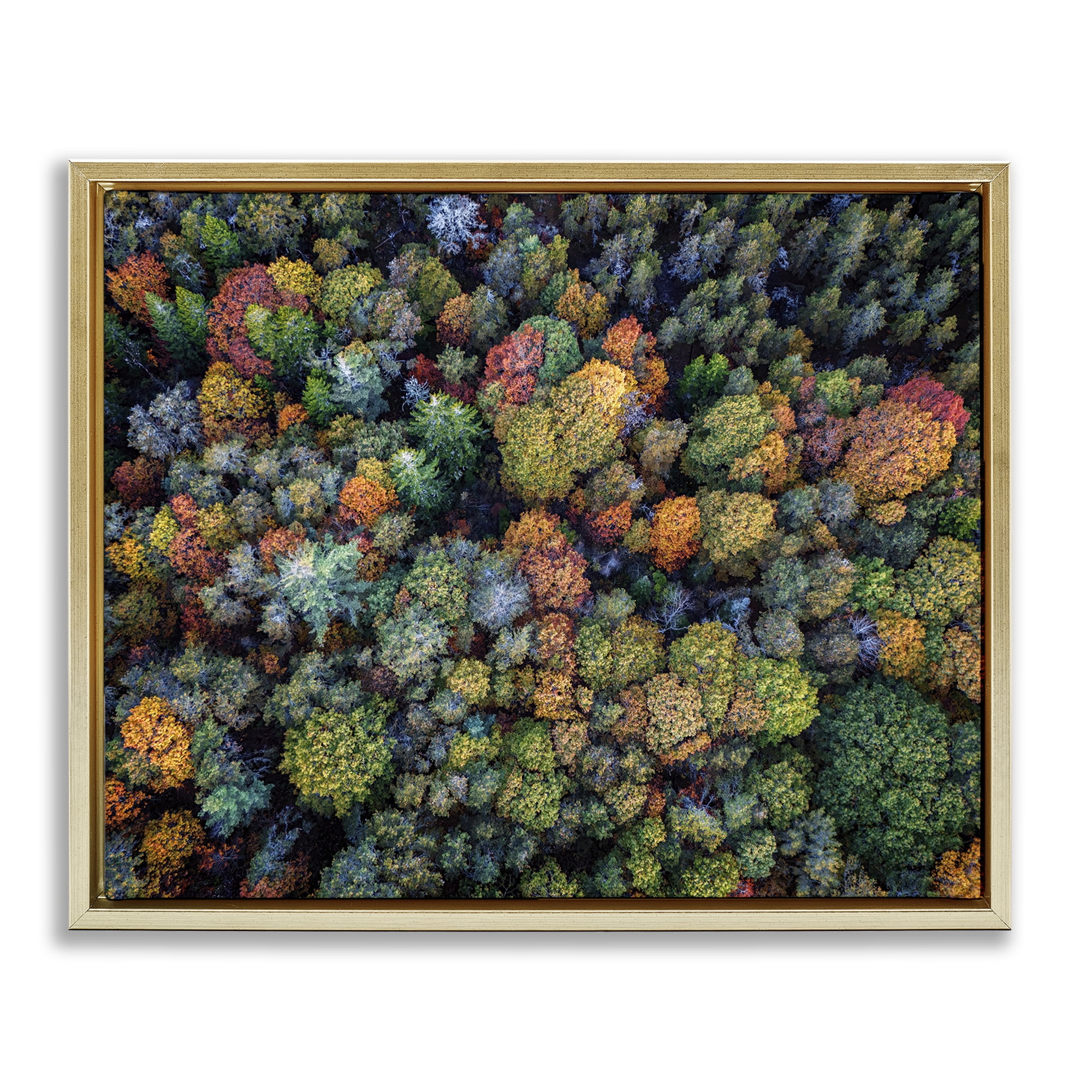 Stupell Industries Aerial View Autumnal Foliage Landscape & Nature Photography Gold Floater Framed Canvas Art Print Wall Art, 21 x 17