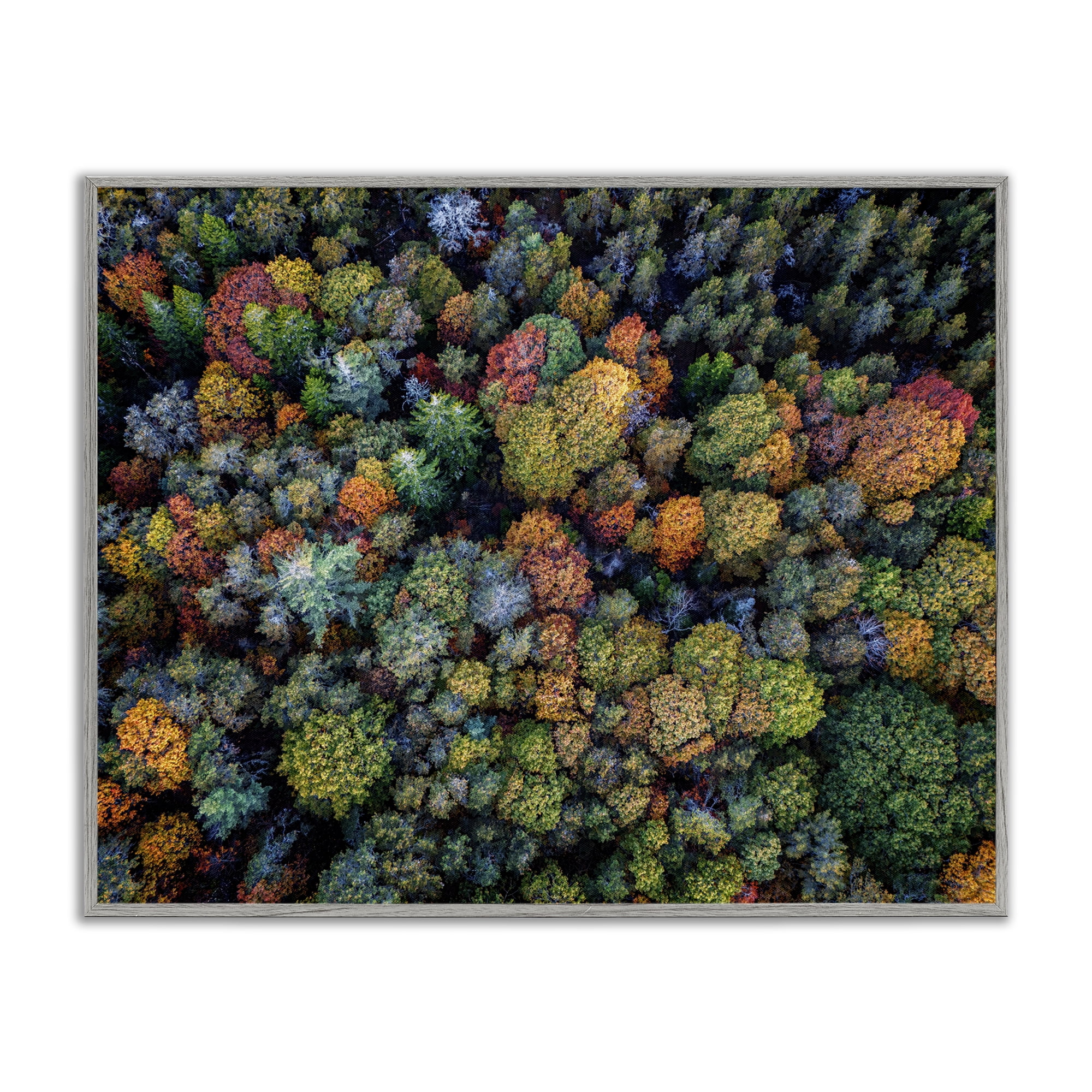Stupell Industries Aerial View Autumnal Foliage Landscape & Nature Photography Gray Framed Art Print Wall Art, 20 x 16