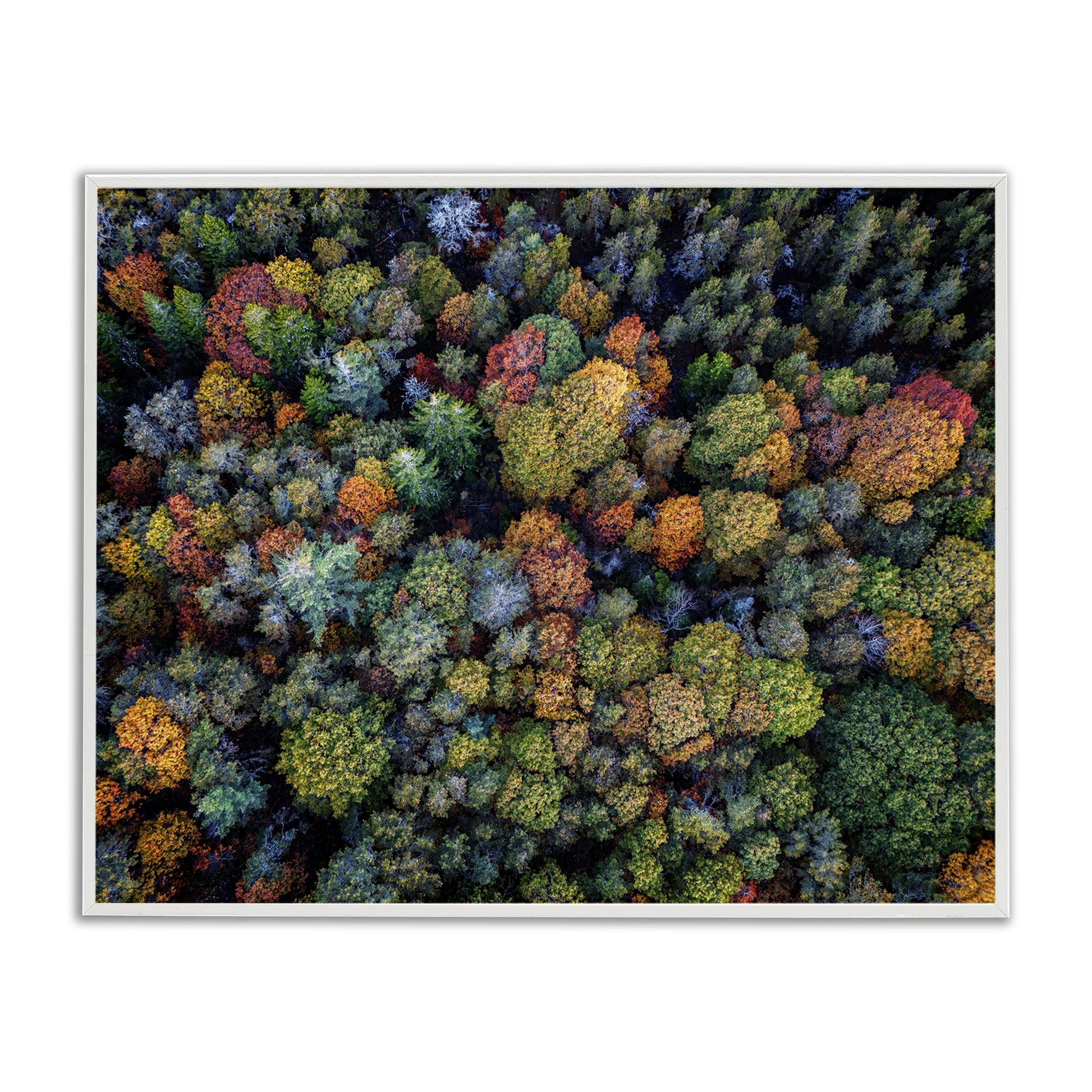 Stupell Industries Aerial View Autumnal Foliage Landscape & Nature Photography White Framed Art Print Wall Art, 20 x 16