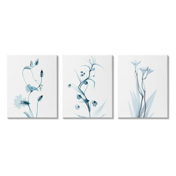 Stupell Industries Aesthetic Minimalist Blue Botanical Floral Design Photography Gallery-Wrapped Canvas Print Wall Art Set of 3, 24x30, by Albert Koetsier