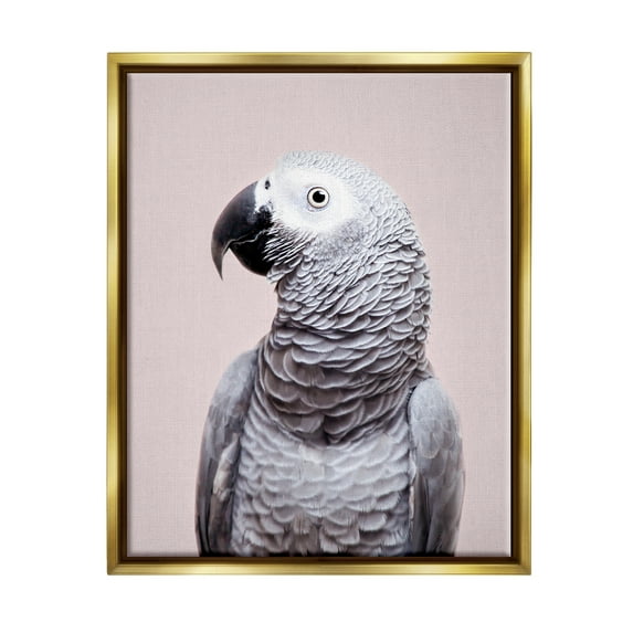 Stupell Industries African Grey Parrot Portrait Animals & Insects Photography Gold Floater Framed Art Print Wall Art, 25 x 31