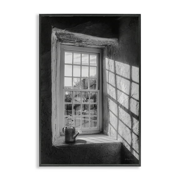 Stupell Industries Afternoon D'Light Window View Black Framed Giclee Art, design by Robin-Lee Viera