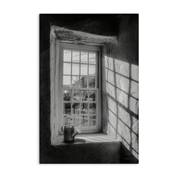 Stupell Industries Afternoon D'Light Window View Canvas Wall Art, design by Robin-Lee Viera