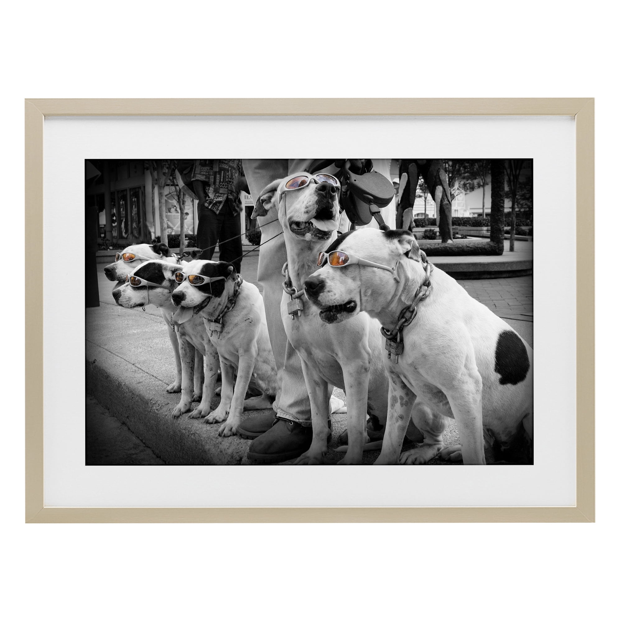 Stupell Industries Afternoon Stroll Pups Birch Framed Print Under Glass, design by Scott Henderson