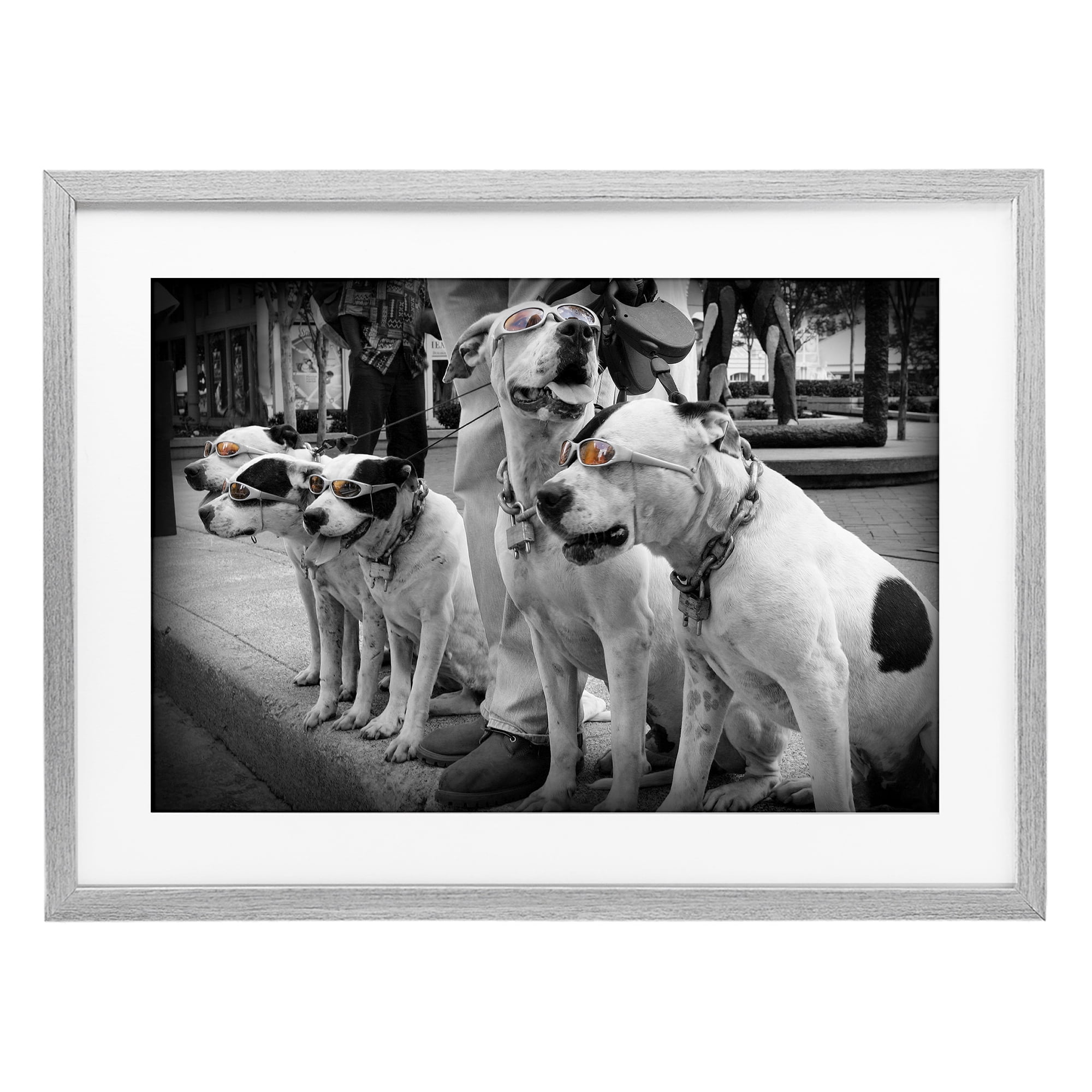 Stupell Industries Afternoon Stroll Pups Gray Framed Print Under Glass, design by Scott Henderson