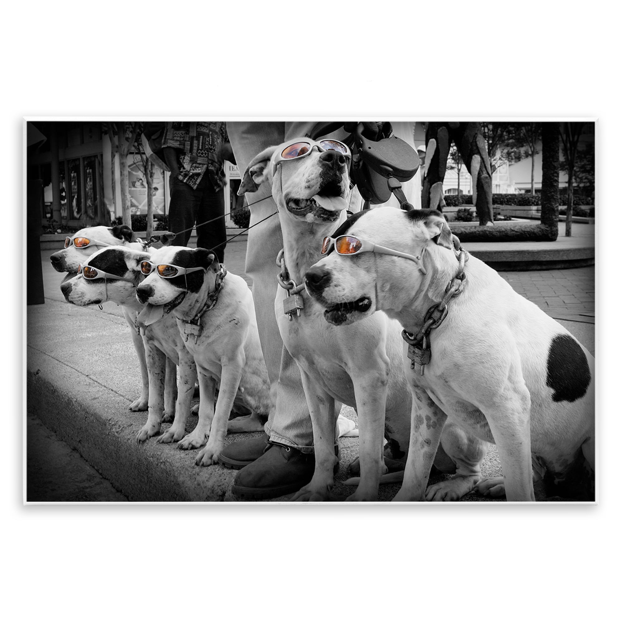 Stupell Industries Afternoon Stroll Pups Wall Plaque Art, design by Scott Henderson