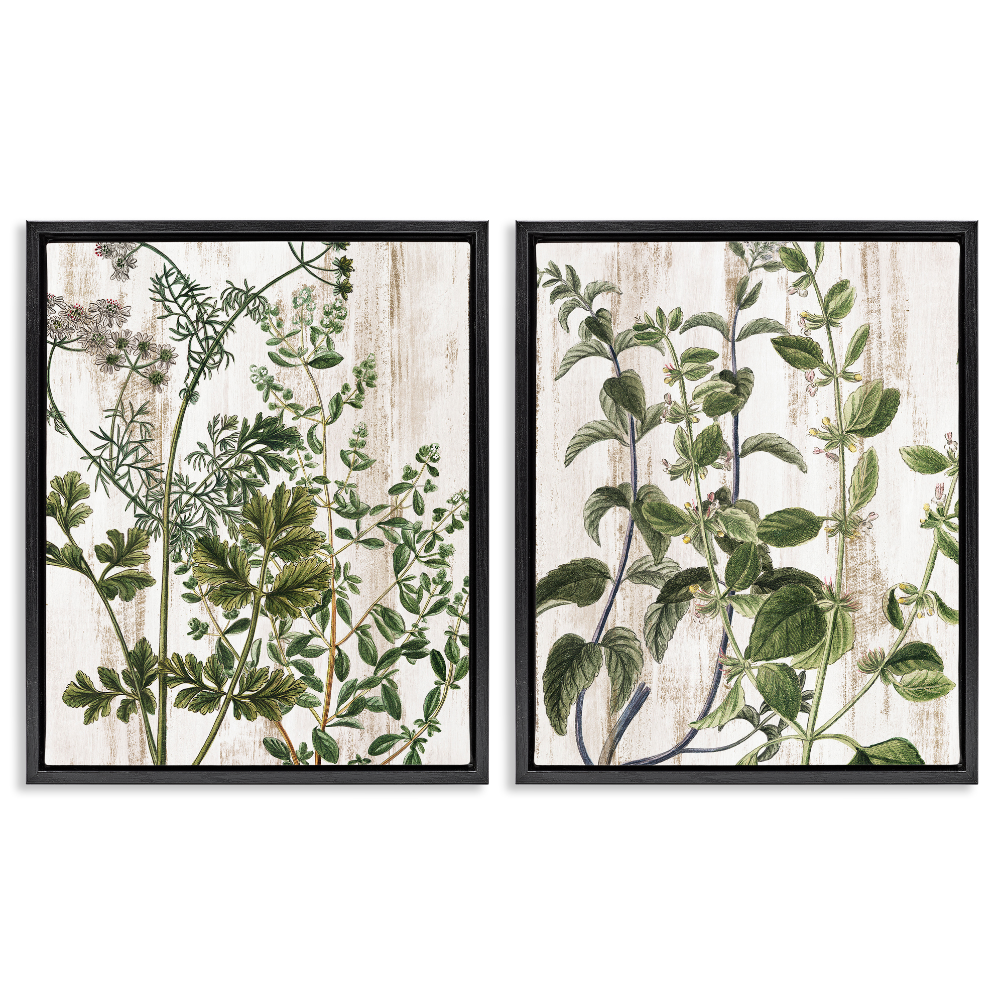Stupell Industries Aged Botanical Leaves Plants & Flowers Painting Black Floater Framed Canvas Art Print Wall Art, 31 x 25, Set of 2