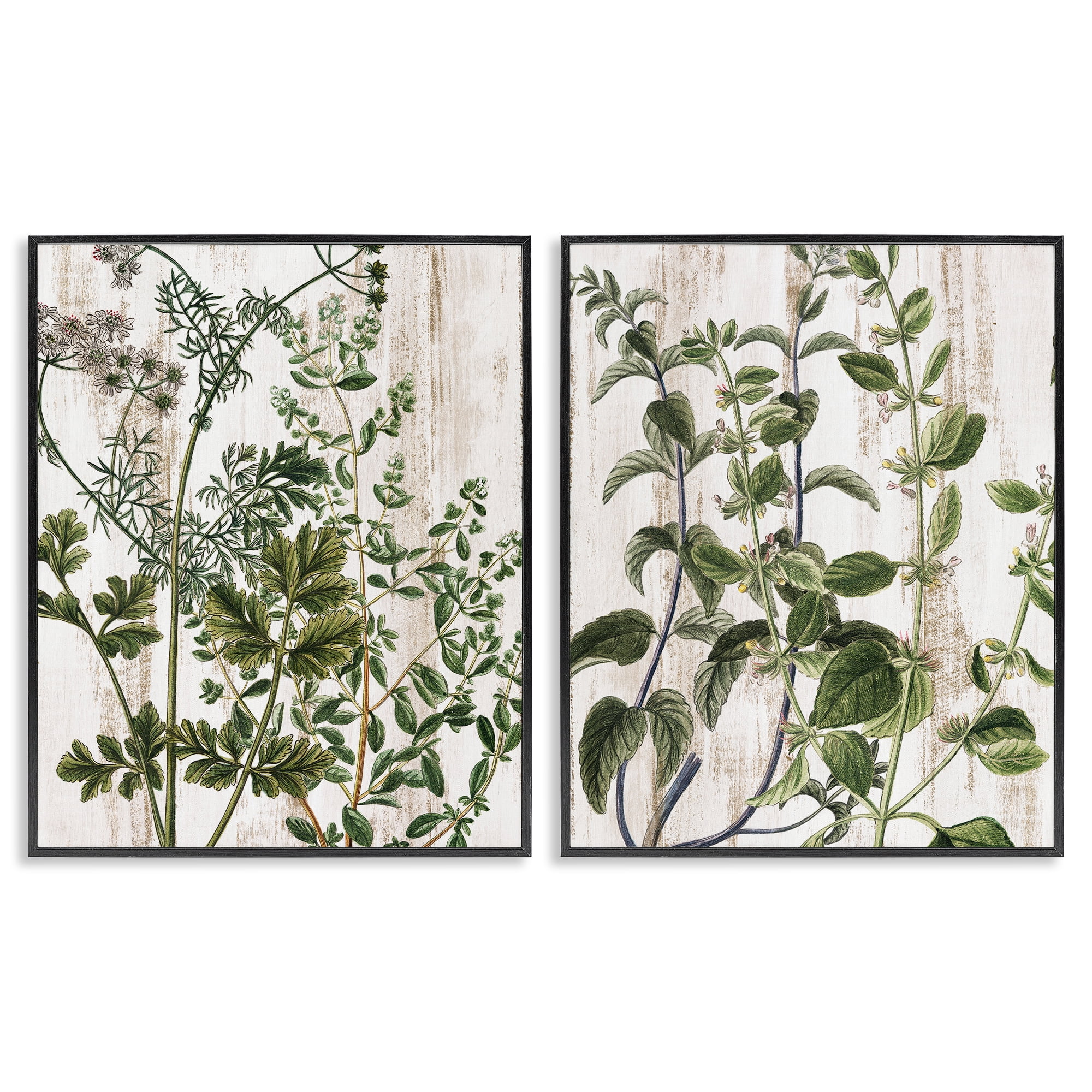 Stupell Industries Aged Botanical Leaves Plants & Flowers Painting Black Framed Art Print Wall Art, 24 x 30, Set of 2
