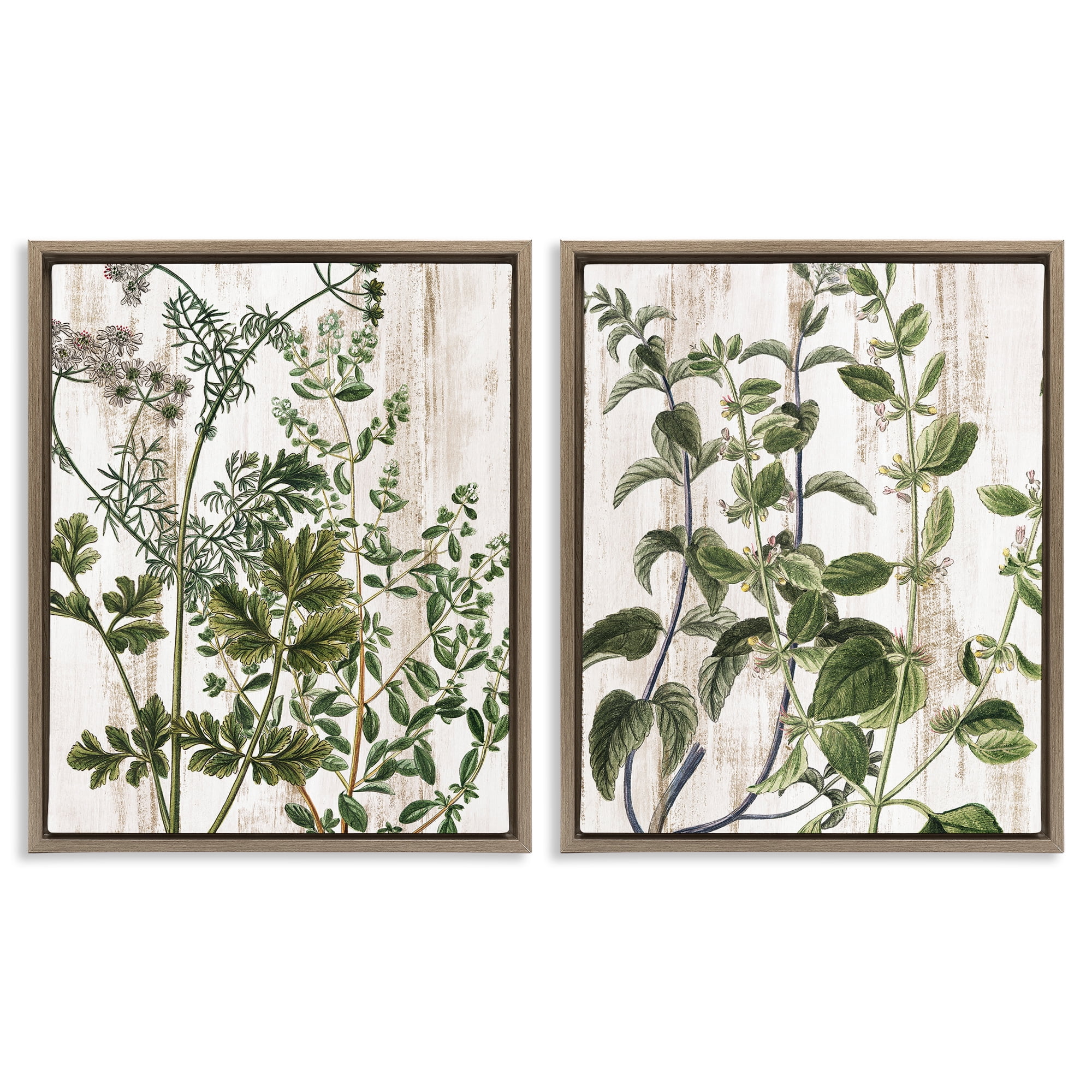 Stupell Industries Aged Botanical Leaves Plants & Flowers Painting Brown Floater Framed Canvas Art Print Wall Art, 31 x 25, Set of 2