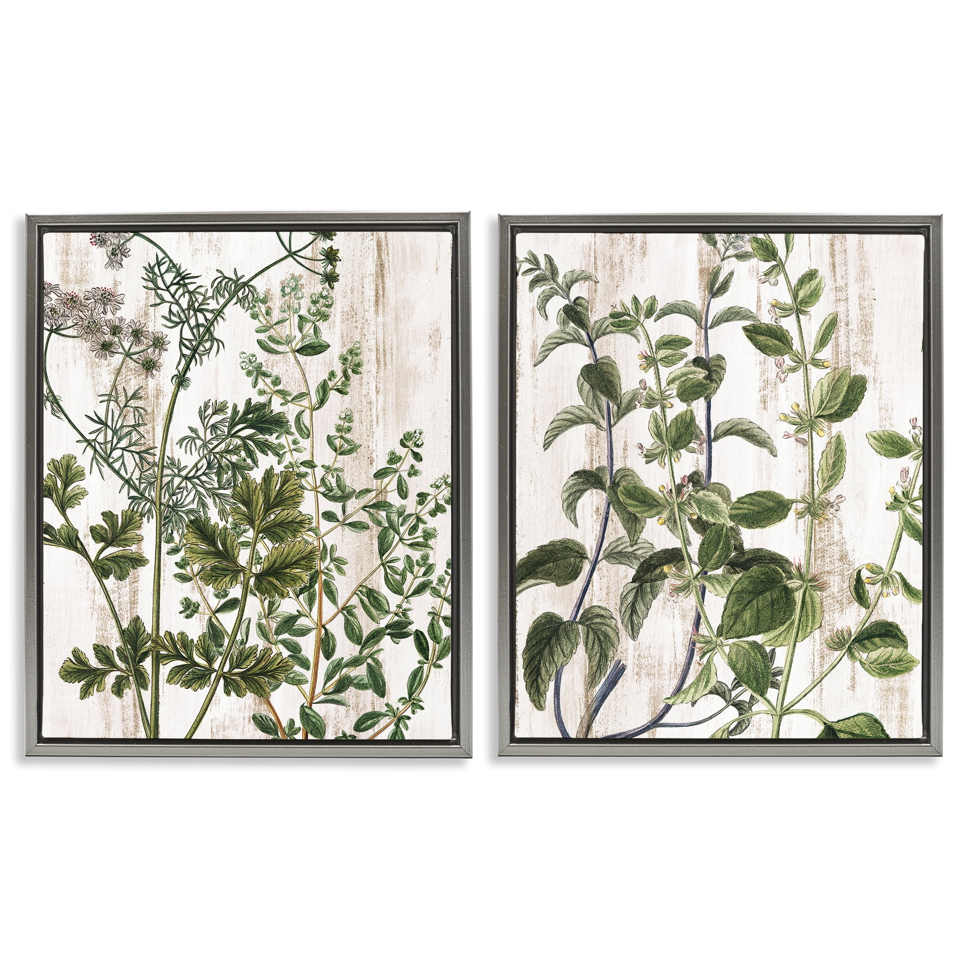 Stupell Industries Aged Botanical Leaves Plants & Flowers Painting Gray Floater Framed Canvas Art Print Wall Art, 17 x 21, Set of 2