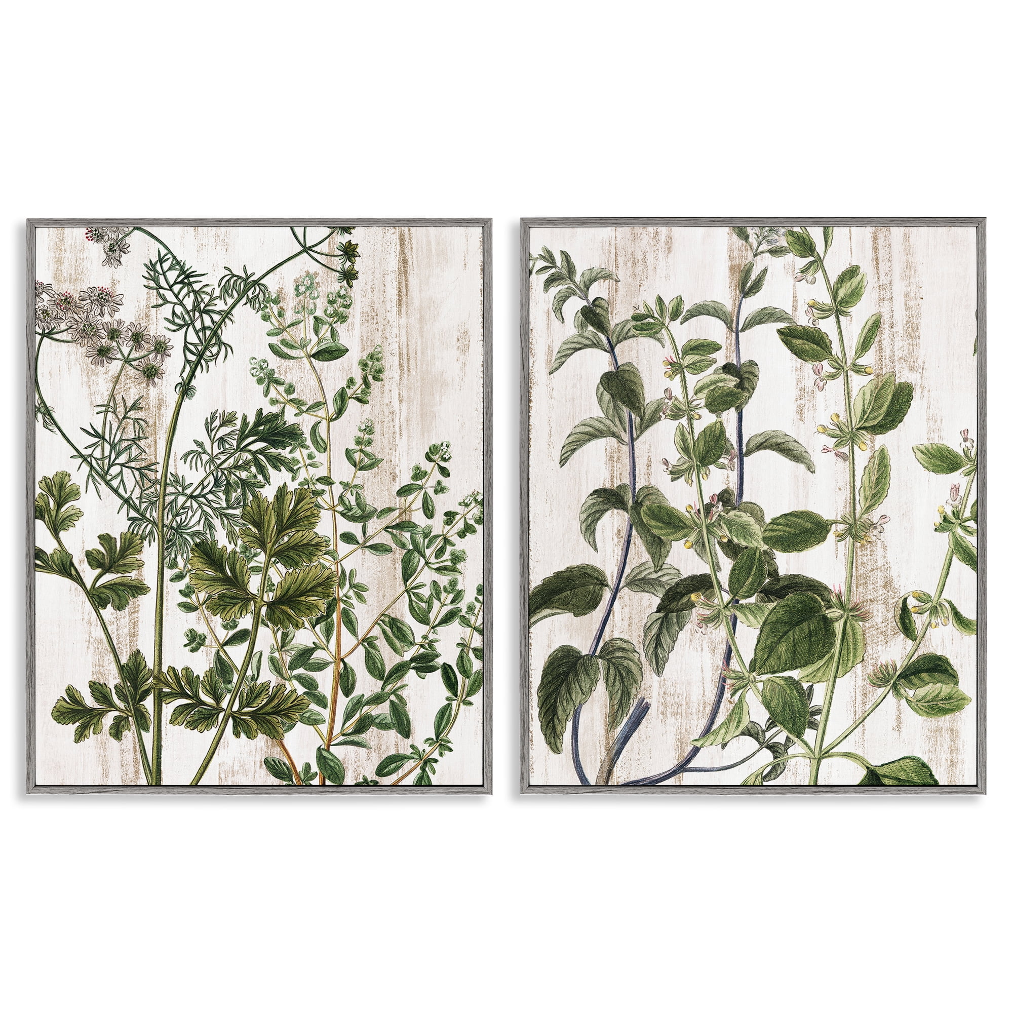 Stupell Industries Aged Botanical Leaves Plants & Flowers Painting Gray Framed Art Print Wall Art, 16 x 20, Set of 2