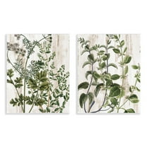 Stupell Industries Aged Botanical Leaves Plants & Flowers Painting Unframed Art Print Wall Art, 11 x 14, Set of 2