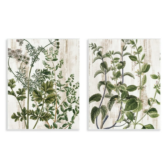 Stupell Industries Aged Botanical Leaves Plants & Flowers Painting Unframed Art Print Wall Art, 11 x 14, Set of 2