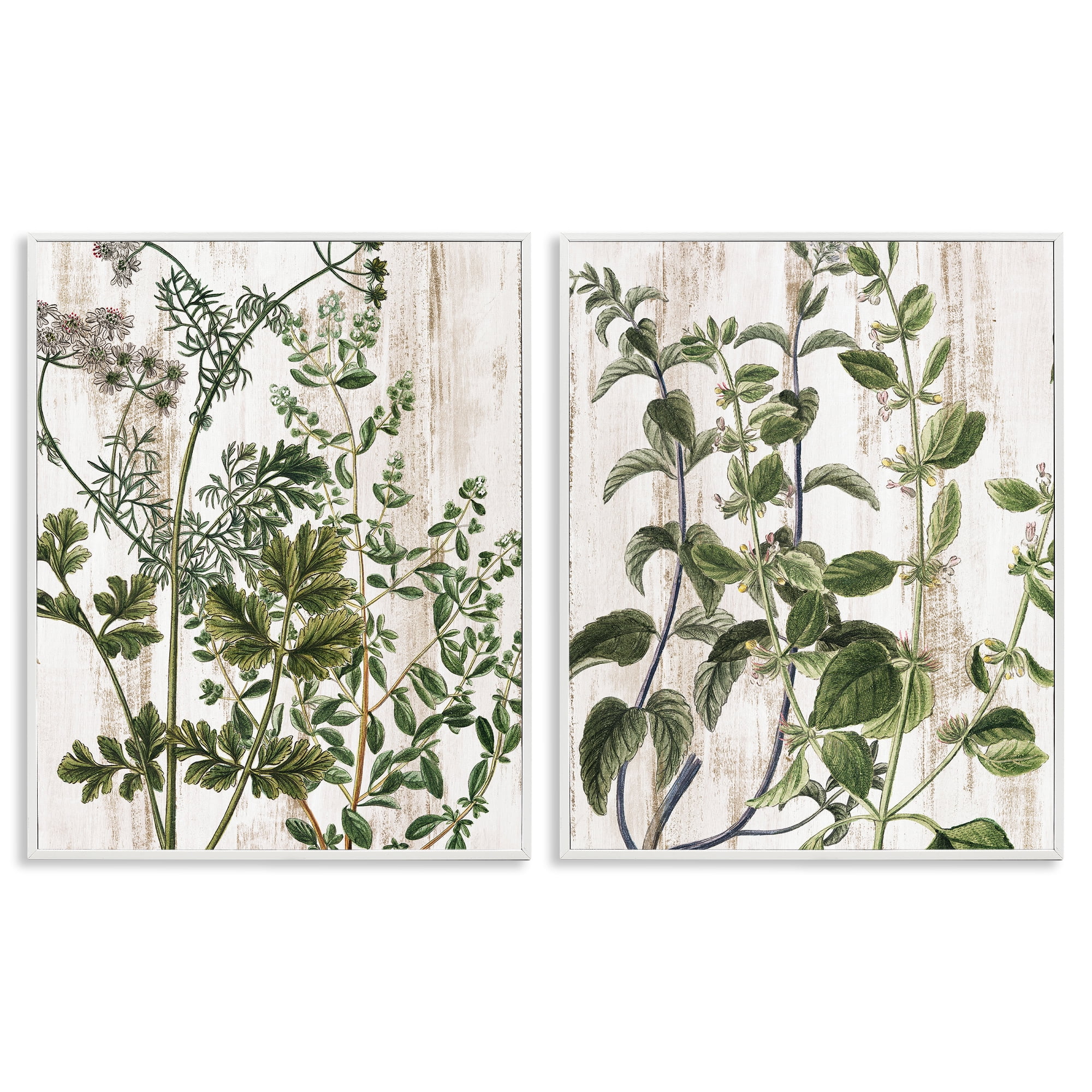Stupell Industries Aged Botanical Leaves Plants & Flowers Painting White Framed Art Print Wall Art, 24 x 30, Set of 2