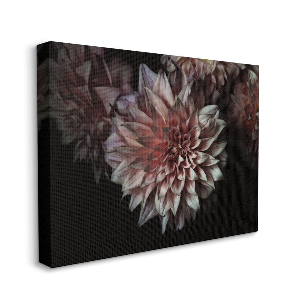 Stupell Industries Aged Flower Curved Petals Pink Black Photograph Canvas Wall Art Design by Elise Catterall, 30" x 40"