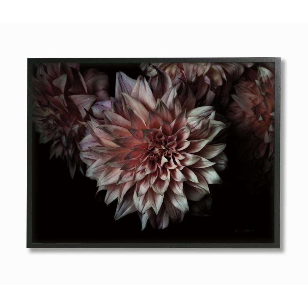 Stupell Industries Aged Flower Curved Petals Pink Black Photograph Framed Wall Art Design by Elise Catterall, 11" x 14", Black Framed