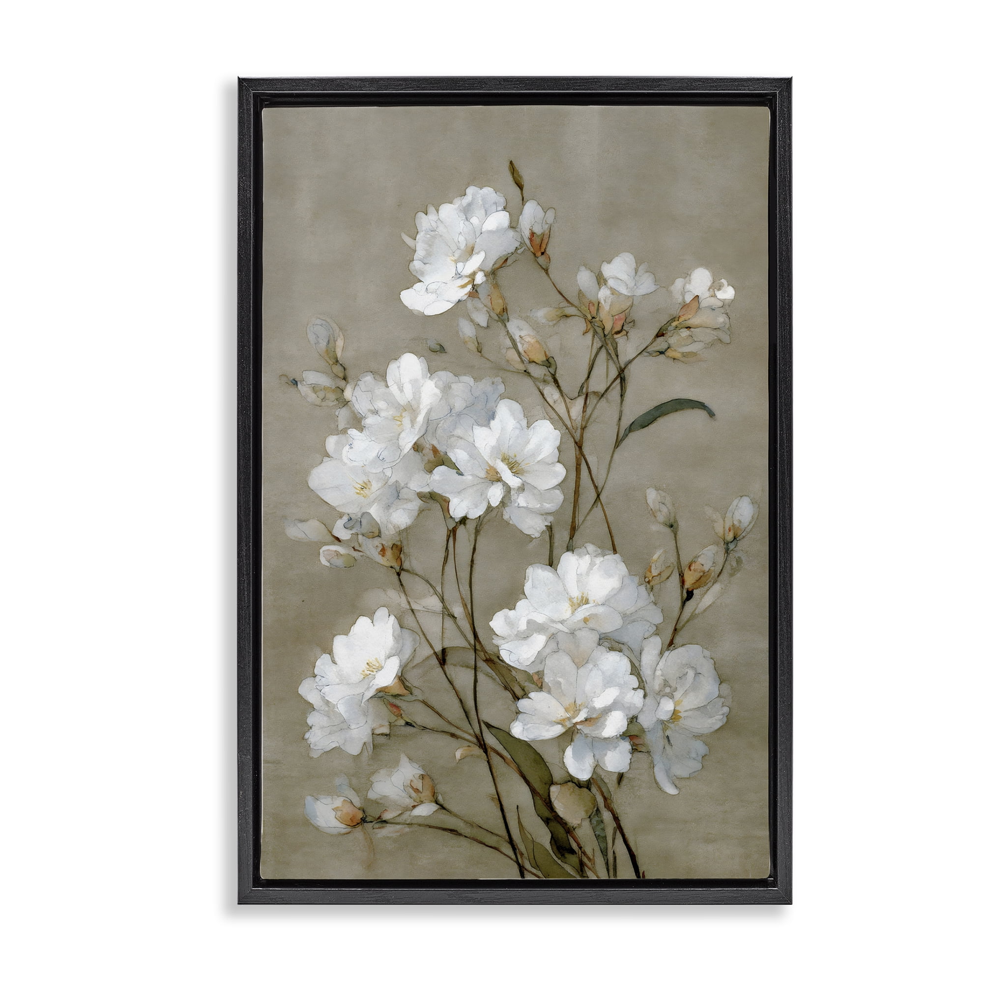 Stupell Industries Aged White Botanical Study Black Framed Floater Canvas Wall Art, design by Petal Prints Design