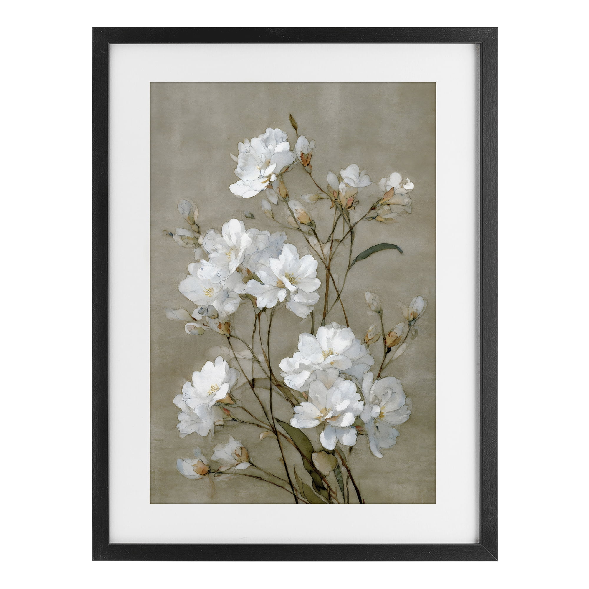 Stupell Industries Aged White Botanical Study Black Framed Print Under Glass, design by Petal Prints Design