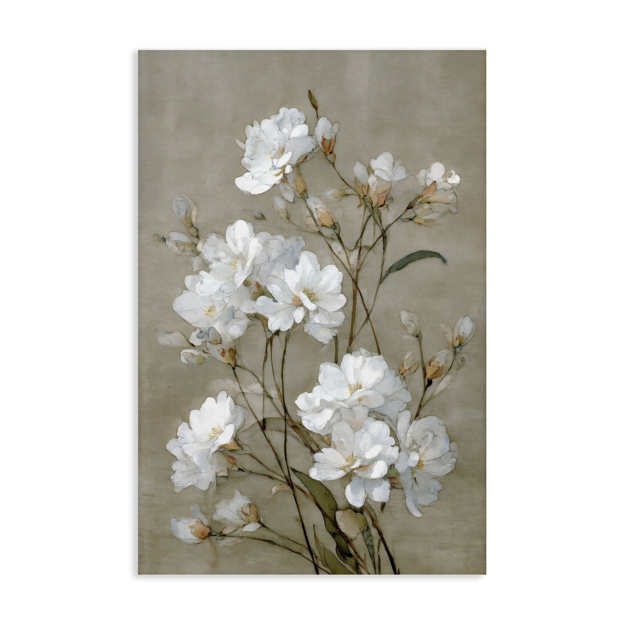 Stupell Industries Aged White Botanical Study Canvas Wall Art, design by Petal Prints Design