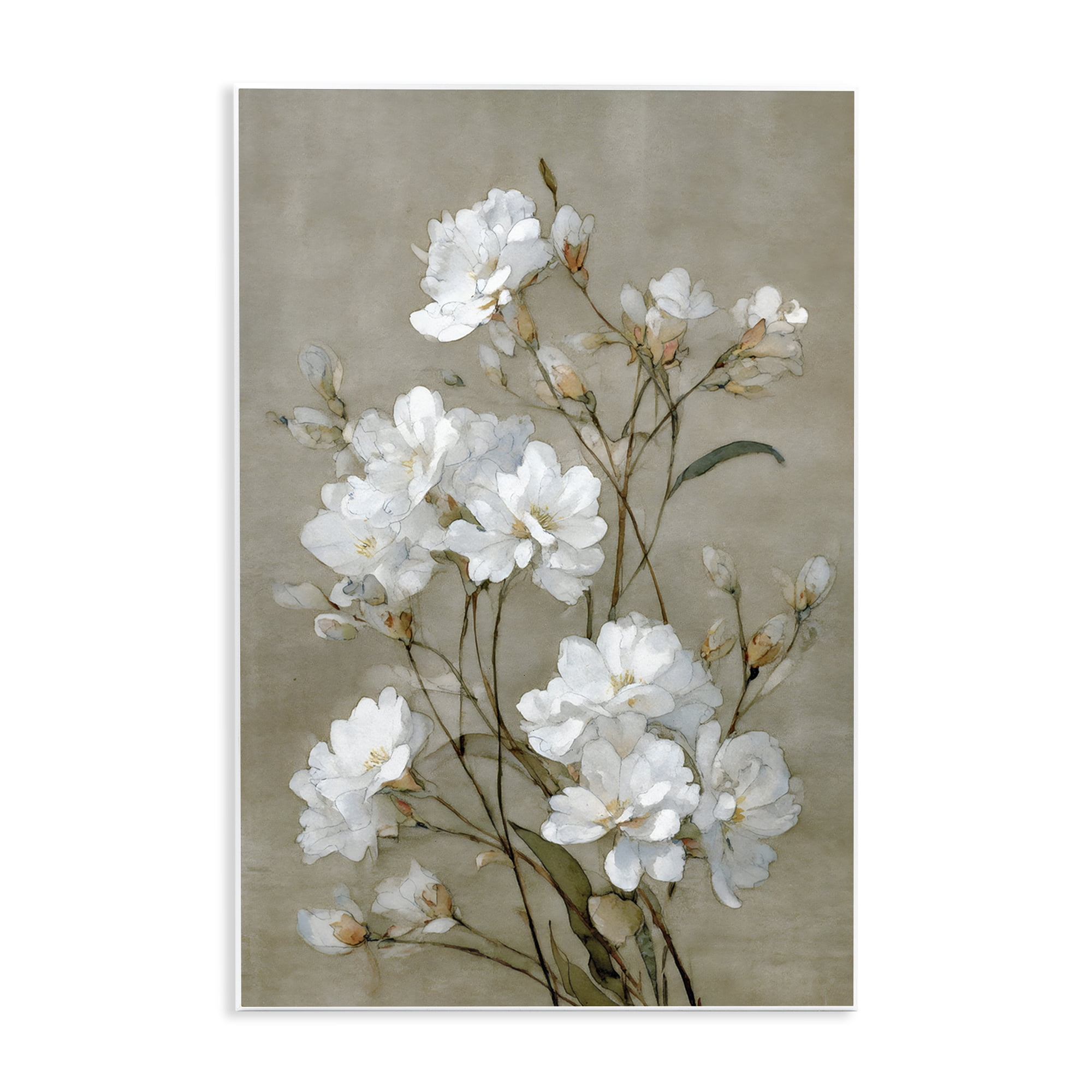 Stupell Industries Aged White Botanical Study Wall Plaque Art, design by Petal Prints Design