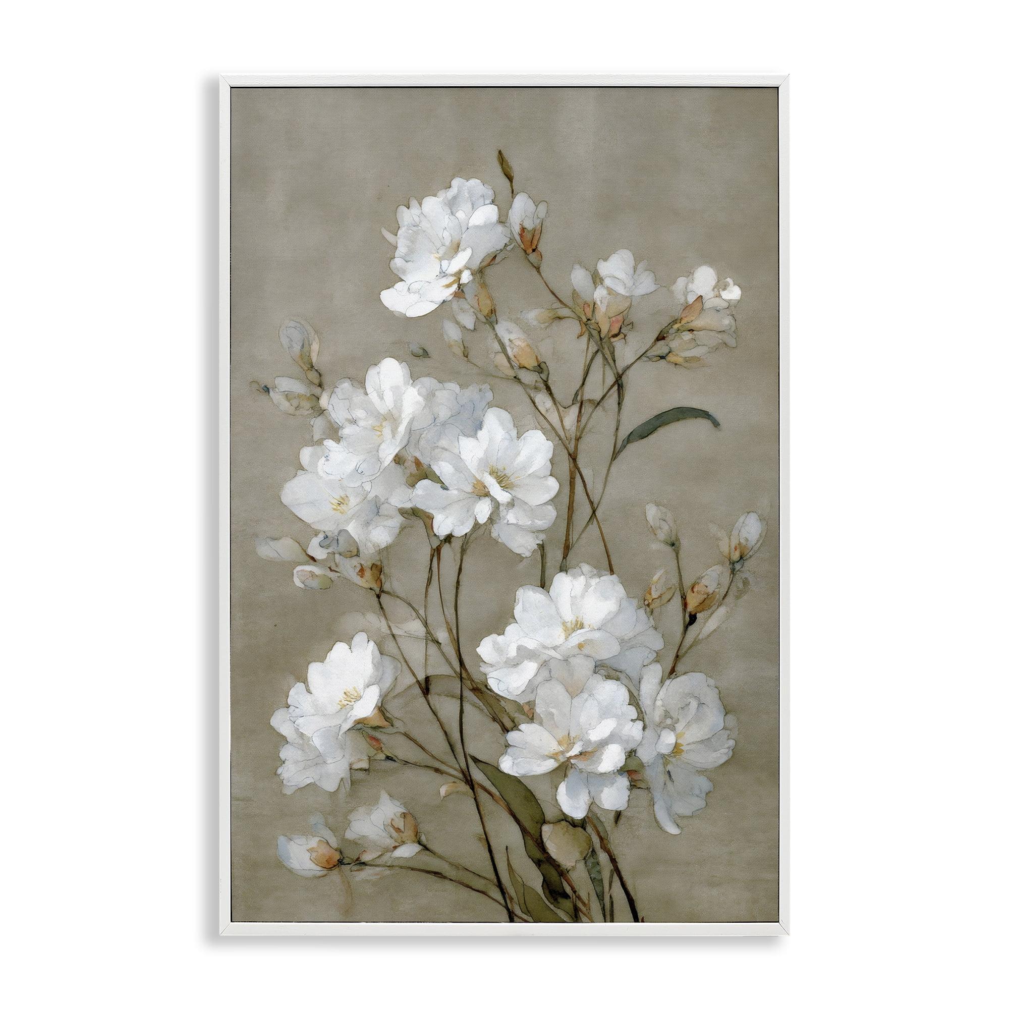 Stupell Industries Aged White Botanical Study White Framed Giclee Art, design by Petal Prints Design
