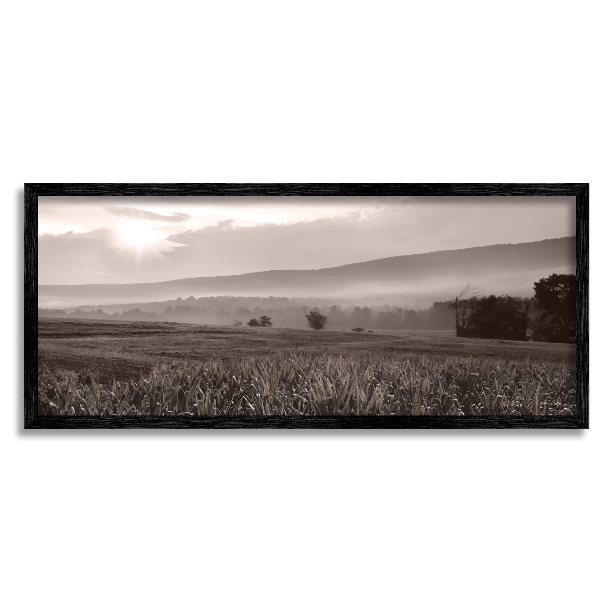 Stupell Industries Agricultural Countryside Farm Emerging Sun Rays Photography Photograph Black Framed Art Print Wall Art, Design by Lori Deiter