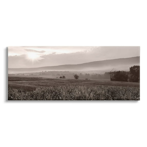 Stupell Industries Agricultural Countryside Farm Emerging Sun Rays Photography Photograph Gallery Wrapped Canvas Print Wall Art, Design by Lori Deiter
