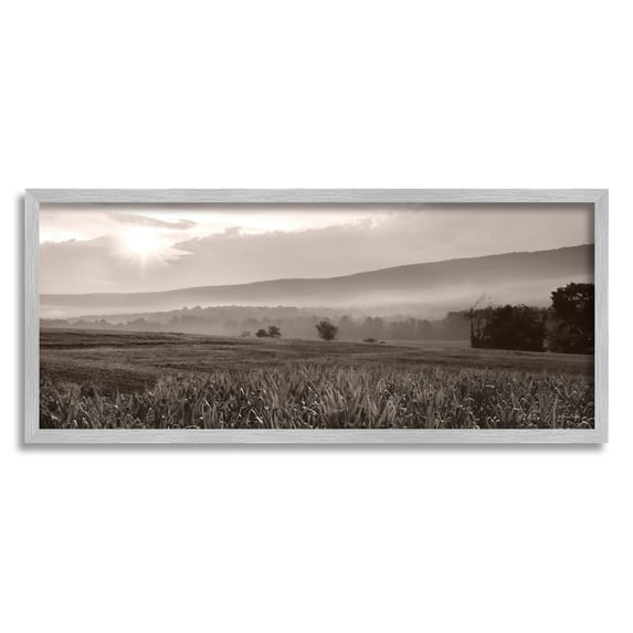 Stupell Industries Agricultural Countryside Farm Emerging Sun Rays Photography Photograph Gray Framed Art Print Wall Art, Design by Lori Deiter