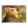 thumbnail image 1 of Stupell Industries Airedale Terrier Dog Watercolor Pet Portrait Green Brown Wall Plaque, 10 x 15, Design by George Dyachenko, 1 of 1